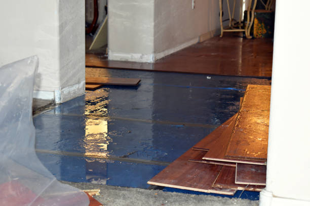 Professional Sewage Cleanup technician working in West Chesterfield, MA